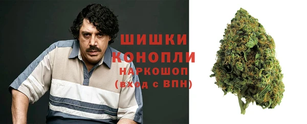 PSILOCYBIN Баксан