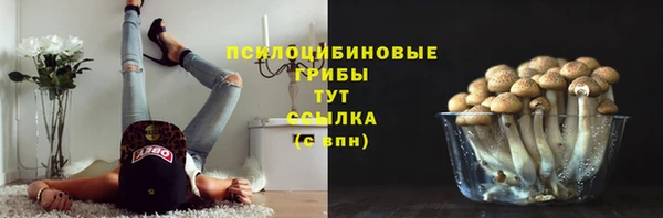 герыч Балахна